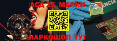 сатива Краснодар