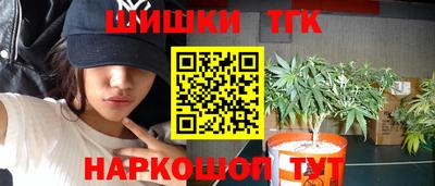 сатива Краснодар