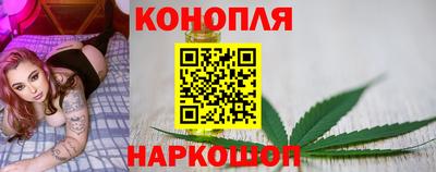 сатива Краснодар