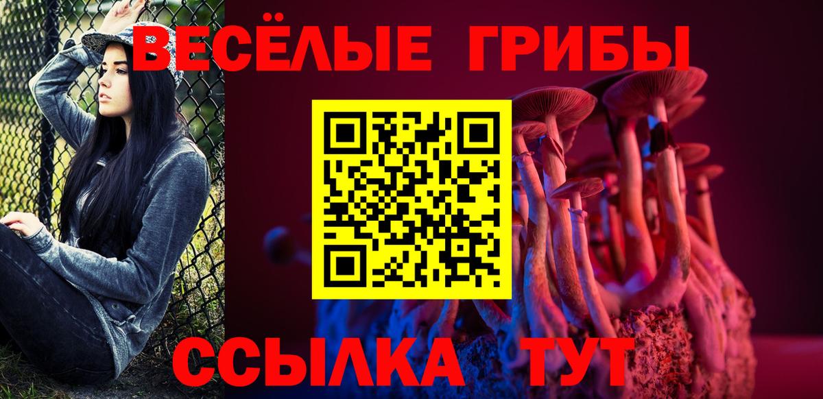 Галлюциногенные грибы MAGIC MUSHROOMS  Вход с VPN  Ефремов 